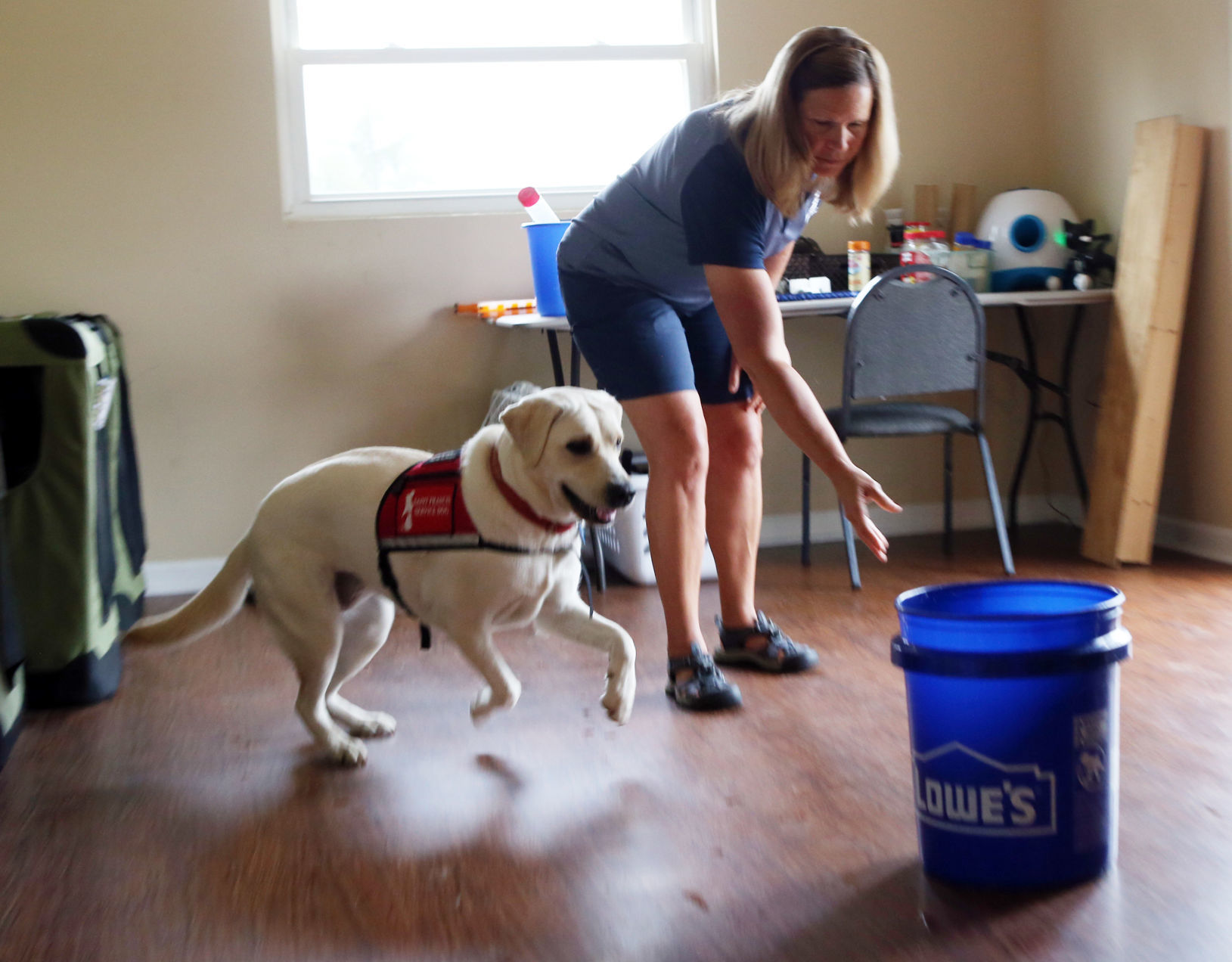 St. Francis Service Dogs